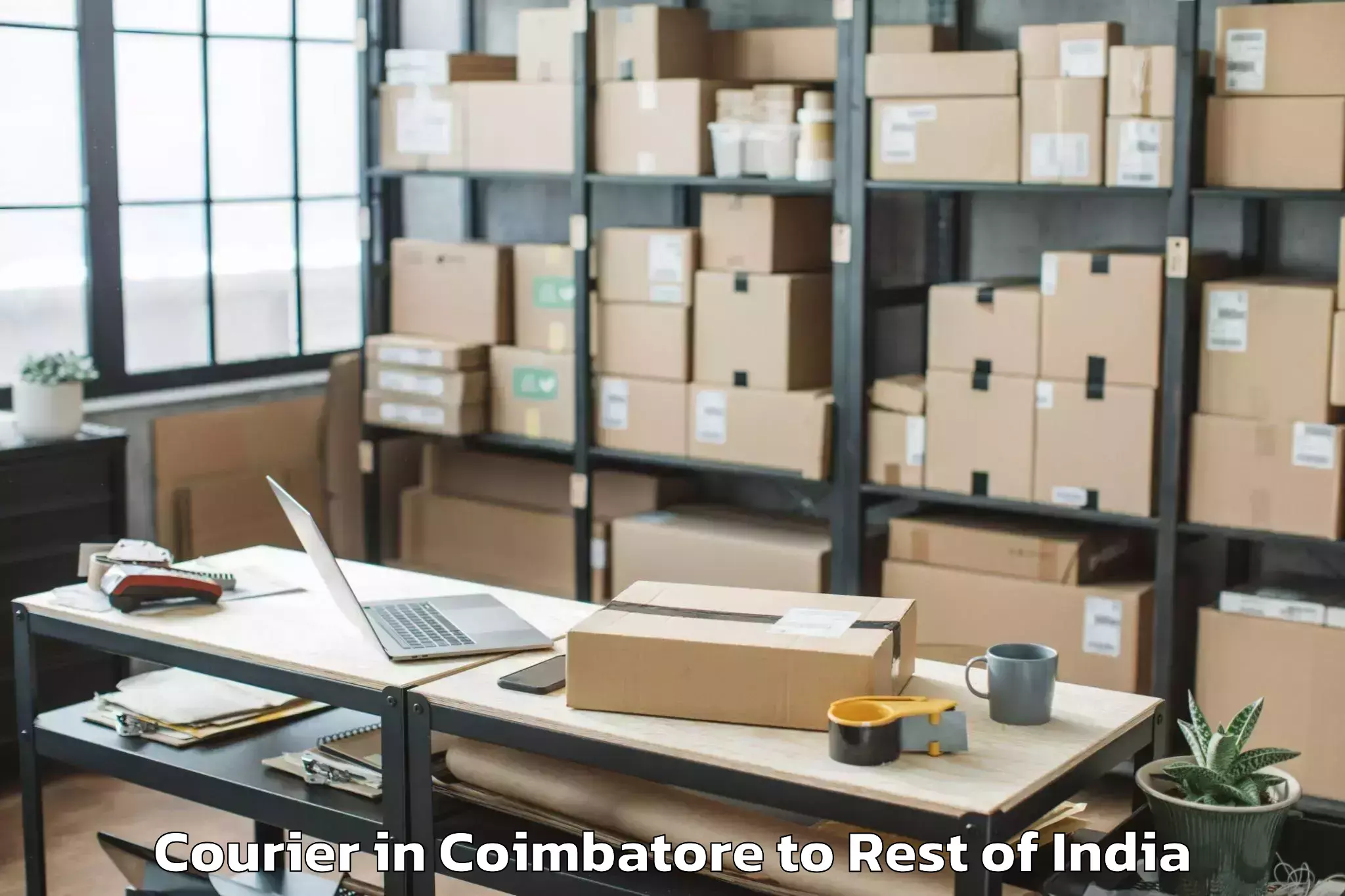 Reliable Coimbatore to Jharbandh Courier